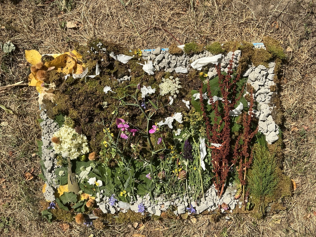 2026 07 14 Landart 3